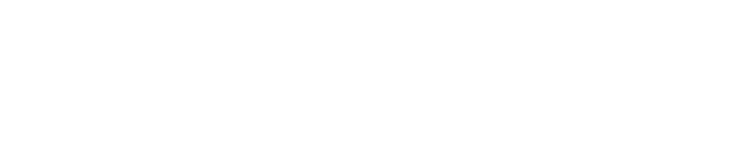 logo light